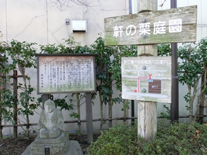 風流のはじめ館と軒の栗画像3