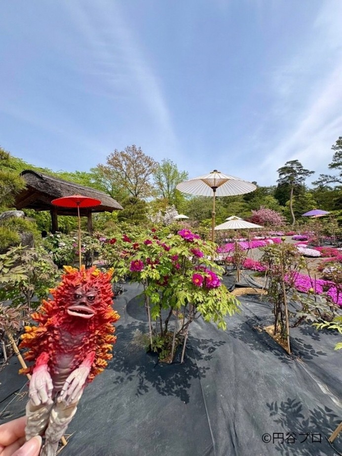 今年も牡丹園へおでかけしてきたッピ！