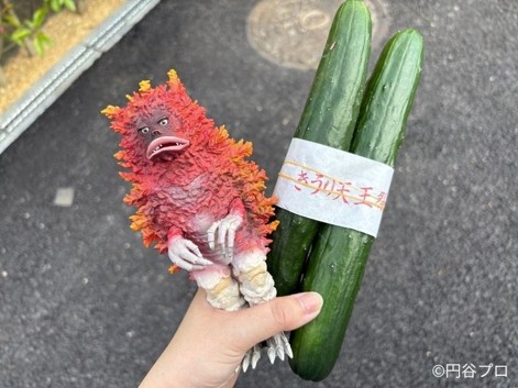 きゅうりが主役のお祭り！？きうり天王祭に行ってきたッピ♪